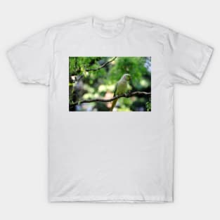 Ring-necked Parakeet (Psittacula krameri) T-Shirt